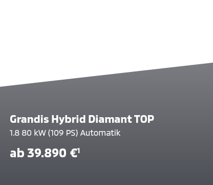 Grandis Hybrid Diamant TOP Grandis Hybrid Diamant TOP