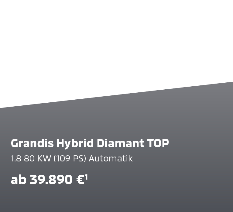 Grandis Hybrid Diamant TOP Grandis Hybrid Diamant TOP