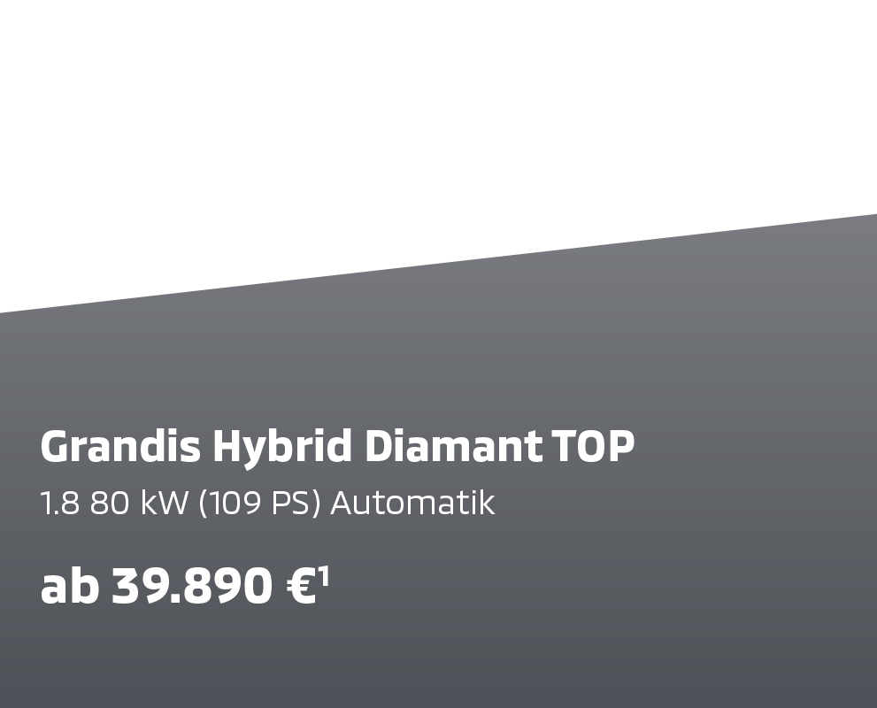 Grandis Hybrid Diamant TOP Grandis Hybrid Diamant TOP