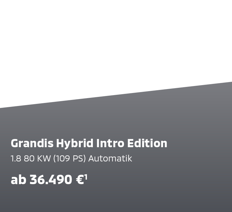 Grandis Hybrid Intro Edition Grandis Hybrid Intro Edition