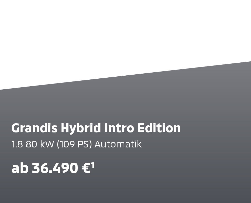 Grandis Hybrid Intro Edition Grandis Hybrid Intro Edition