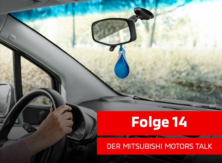 ... Felix Müller-Baumgarten: Skurriles Verkehrsrecht - Alt